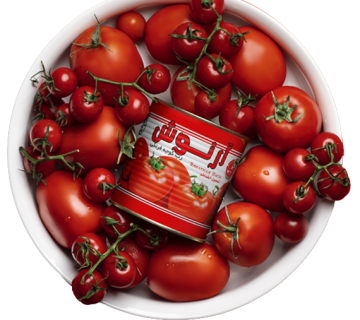 سبد کالای خانوارهای ایرانی با رب گوجه فرنگی آرنوش