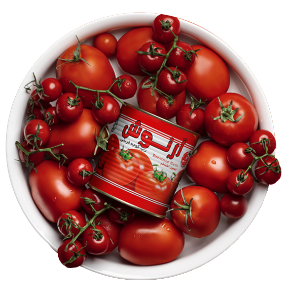 arnooshbox1 سبد کالای خانوارهای ایرانی با رب گوجه فرنگی آرنوش